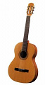 Sanchez Antonio S-20 Классическая гитара