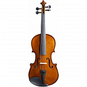 Terris VIO-44  скрипка 4/4, отделка classic (в комплекте смычок, канифоль, футляр)