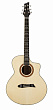 NG GT500 акустическая гитара, цвет натуральный