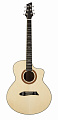 NG GT500 акустическая гитара, цвет натуральный