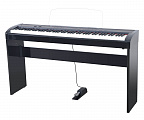 Artesia A-10 Black polished цифровое фортепиано, 88 клавиш, цвет полированный черный