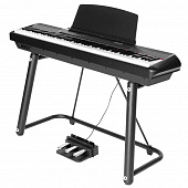 Flykeys FP6 Set Black цифровое пианино (синтезатор), цвет черный (в комплекте стойка + педаль тройная )