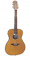 SX AG100/VNA акустическая гитара