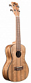 Kala KA-PWC Kala Pacific Walnut Concert Ukulele укулеле, форма корпуса концерт, цвет натуральный