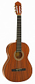GregBennett CNG1/N классическая гитара, цвет натуральный