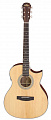 Aria Aria-201CE N гитара электро-акустическая шестиструнная, цвет натуральный