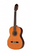 Francisco Esteve 1GR9C(9C) классическая гитара, верх-кедр или ель, корп.-инд.палисандр, накл.-чёрн.д