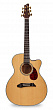 NG GM411SC NA акустическая гитара, цвет натуральный, чехол в комплекте