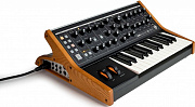 Moog Subsequent 25 аналоговый парафонический синтезатор
