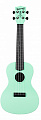 Waterman by Kala KA-CWB-GN Green, Matte, Concert Ukulele w/Bag укулеле концертное, цвет зелёный