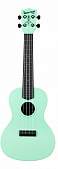 Waterman by Kala KA-CWB-GN Green, Matte, Concert Ukulele w/Bag укулеле концертное, цвет зелёный