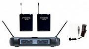 Pasgao PAW120+PBT305 +PS20 инструментальная радиосистема для духовых