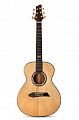 NG Mini 1E  электроакустическая гитара, цвет натуральный, чехол в комплекте