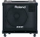 Roland D-BASS-115X басовый комбо