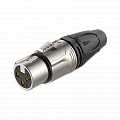Roxtone RX3F-NG  разъем cannon кабельный "мама" 3-х контактный, цвет серебро, позолоченные контакты