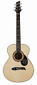 NG GT300 NA  акустическая гитара, цвет натуральный