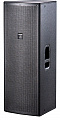 Das Audio Action-215A активная акустическая система, динамики 2 х 15", мощность RMS 500 Вт, цвет черный