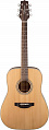 Takamine G Series GD20CE-NS электроакустическая гитара