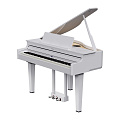 Roland GP 6 PW  цифровой рояль, 88 клавиш, цвет белый