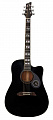 NG DAWN S1 BK акустическая гитара, цвет черный