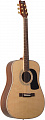 Washburn D10SDL акустическая гитара Dreadnought