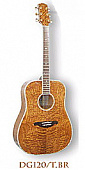 SX DG120/TBR акустическая гитара, цвет темный янтарь