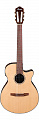 Ibanez AEG50N-NT электроакустическая гитара с нейлоновыми струнами, цвет натуральный