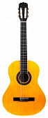 Aria Fiesta FST-200 N W/B гитара классическая, в комплекте чехол