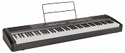Ringway RP-25 цифровое фортепиано, клавиатура 88 клавиш