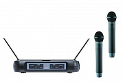 Pasgao PAW120+PAH315 двойная радиосистема, динамические микрофоны, фиксированная частота.