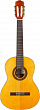Cordoba Protégé C1 классическая гитара, цвет натуральный глянцевый