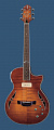 Crafter SAT-TMVS электроакустическая гитара, с жёстким фирменным кейсом в комлекте