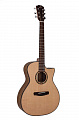 Dowina GAC222 акустическая гитара