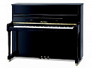 Pearl River EU122 A111  пианино