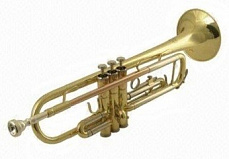 Wisemann DTR-200  труба Bb стандартная, лак-золото