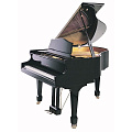Samick SIG50 EBHP -  рояль, 103x148x150, 297кг, струны "Roslau"(нем.), полир., черный