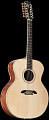 Alvarez-Yairi JY8412 12 струнная акустическая гитара Jumbo с кейсом