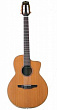 Takamine TAN650C электро-аккустическая гитара с кейсом