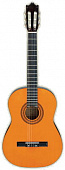 Ibanez GA3JP-NT NYLON STRINGS ACOUSTIC GUITAR JAM PACK набор: акустическая гитара, мягкий чехол, тюнер, чехол д / тюнера