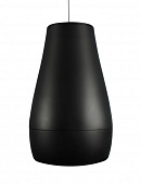 Biamp Desono P6 Black  подвесной, 6,5", коаксиальный громкоговоритель, чёрный, продается парами