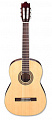 Ibanez GA50SW NATURAL акустическая гитара
