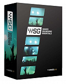 Waves SGEB (Yamaha) комплект плагинов для Sound Grid Servers