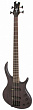 Epiphone Toby Deluxe-IV Bass TKS бас-гитара 4-струнная, цвет черный
