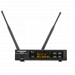Pasgao PAW-900 Rx_PBT-801 TxB одноканальная радиосистема с поясным передатчиком и петличным микрофоном (A179302 + A179310)