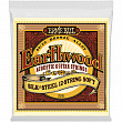 Ernie Ball 2051 Earthwood Silk & Steel Soft 9-46 струны для 12 струнной акустической гитары