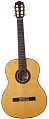 Washburn WC90Pack классическая гитара с аксессуарами