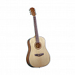 Omni D-120 NT  акустическая гитара, дредноут, цвет натуральный