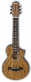 Ibanez EWP14WB-OPN акустическая гитара, цвет натуральный