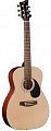 Jay Turser JJ43-N акустическая гитара, цвет натуральный