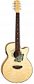 Luna FAU BTFLY электроакустическая фолк-гитара,cut, цвет натуральный, рисунок "бабочка"